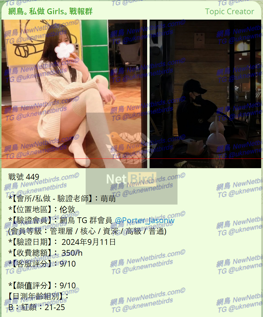 戰號 449 1.png
